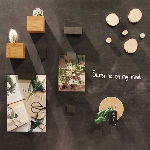 Magneet Boomstam blanco (4) - Afbeelding 3