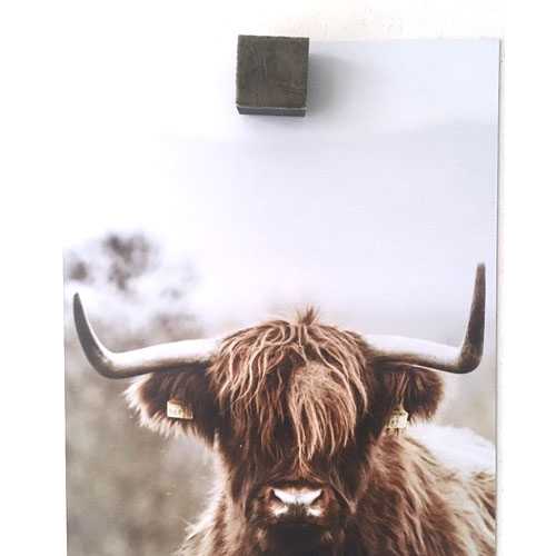 Magneet velours groen (2) - Afbeelding 2