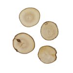 Magneet Boomstam blanco (4)