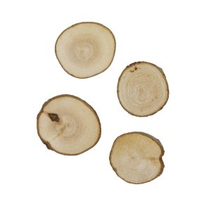 Magneet Boomstam blanco (4)