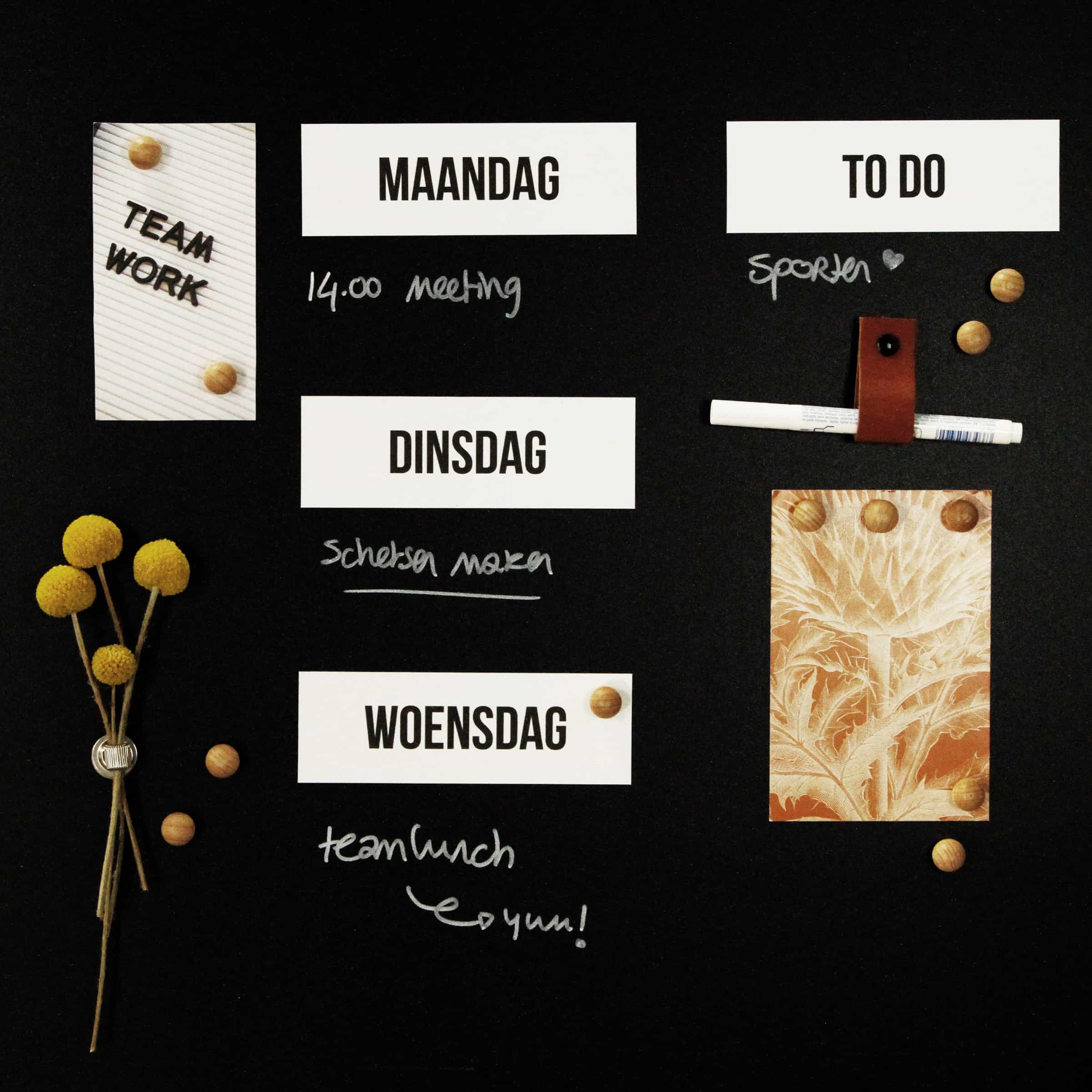 Magneet wood blanco XS (12) - Afbeelding 3