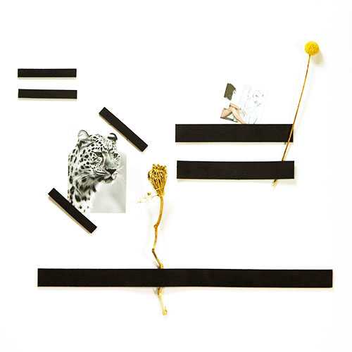 magneetstrip leer 50-60-100 cm zwart (1) - Afbeelding 2