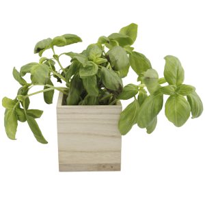 Magneetbakje hout naturel