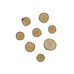 Magneet Boomstam XS BLANCO (8)