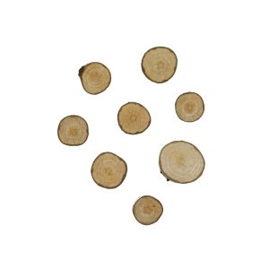 Magneet Boomstam XS BLANCO (8)