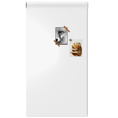 Magnetisch behang whiteboard wit 50 x 250 sale