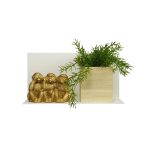 Magnetische wandplank wit medium