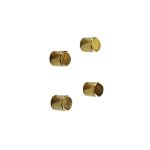 Magneet neodymium goud (4)