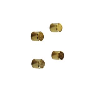 Magneet neodymium goud (4)