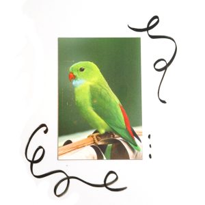 Magneetposter 10x15 BIRD SALE