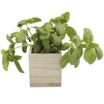 Magneetbakje hout naturel