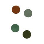 Magneten cirkels leer Green (4)